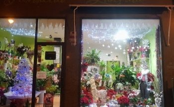 Floristeria Libertad