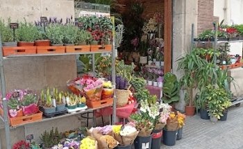 Floristeria El Jardí d'en Pep