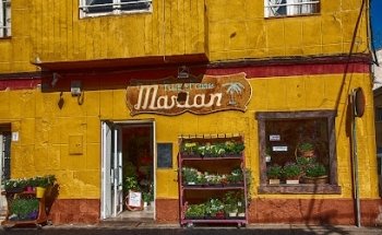 Flores Marian servicio a domicilio permanente