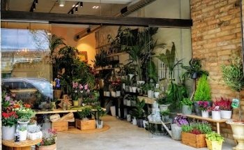 Floristería Romanos