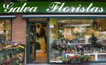 Galva Floristas