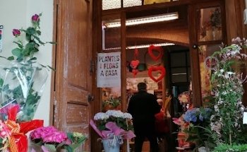 Floristeria Plaça Sant Ramon