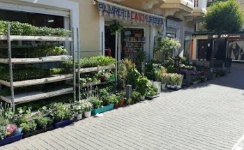 Floristería Cano