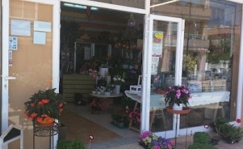 FLORISTERIA ES ROMANÍ