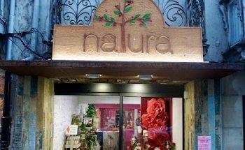 Natura flores y plantas