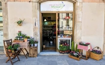 Floristeria Taller Muscari