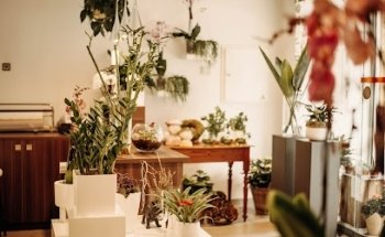 Sa Morera Floristeria