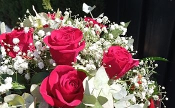 FLORISTERÍA MANOLI (Amparo Bandera)