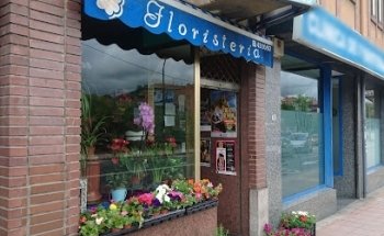 La Flor de San Lorenzo Floristería