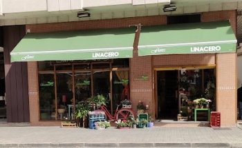 FLORES LINACERO