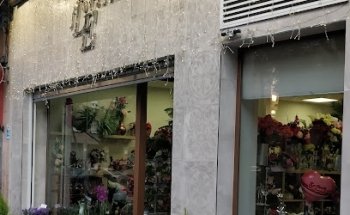 Floristería LE