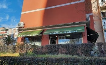 Floristería Díaz