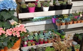 FLORES ARANTZA Getxo