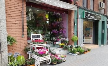 Flors Eugènia Art floral