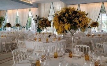 Floristería Nervion Suroeste