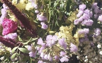 Floristería María Aliaga