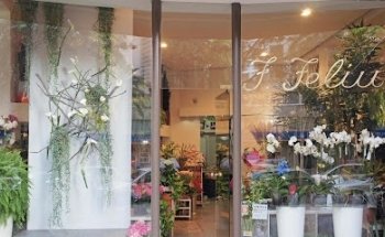 Flores Feliu