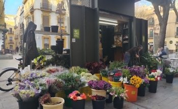 Floristería la Alfalfa