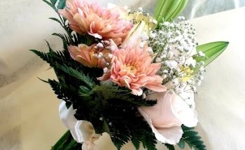 Floristería Colores