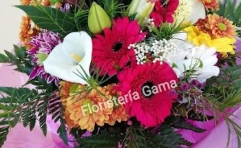 Floristeria Gama