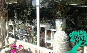 Floristeria Santacreu