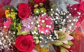 Floristería Salviflor