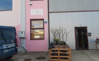 ALMACÉN DE FLORES FRESCAS pica flor.