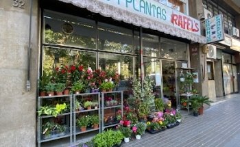 Flors i plantes Rafel's