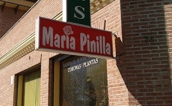 Flores María Pinilla