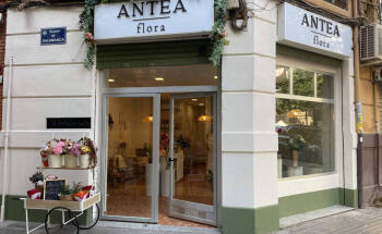 Antea Flora | Mejor Floristería de Valencia