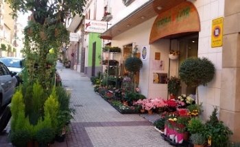 Floristería Yerbaflor