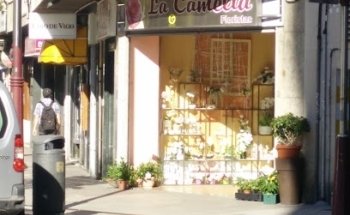 La Camelia Floristería