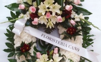 Flores Tanatorio