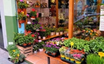 Floristería Adrián