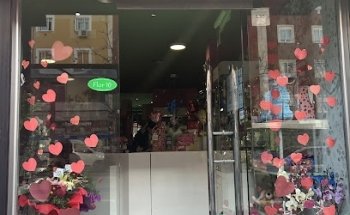 Flowers for All Madrid