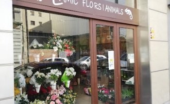 Flors L’Amic