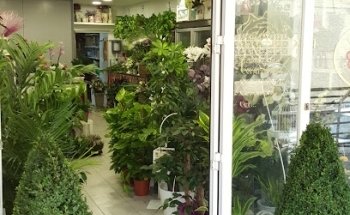 Floristería Ángela