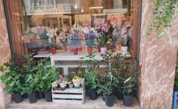 Floristería Las Palmeras