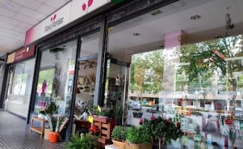 María Martínez Floristas