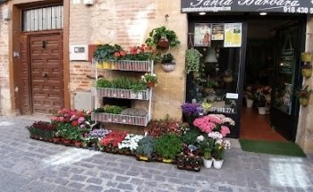 Floristería Santa Barbara