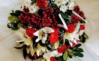 Floristería Virgen de la Estrella