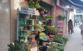 Floristería Argentina Arte Floral