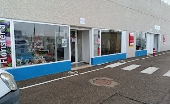 Floristería social ReyArdid