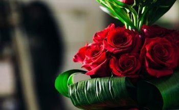 Ygnacio Guillen Florist Pamplona