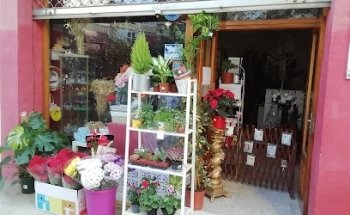Floristería La Favorita S.L