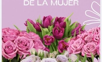 Floristeria Violetas