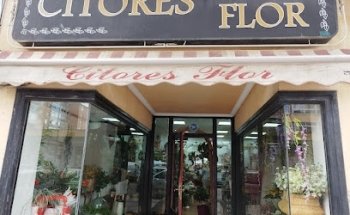 Citores Flor