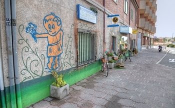 Campánula Floristería y Decoración