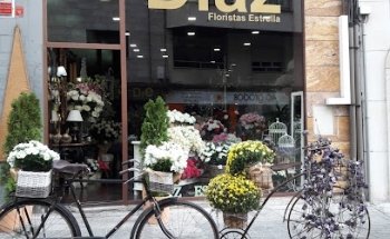 Díaz Floristas Estrella S.L.U