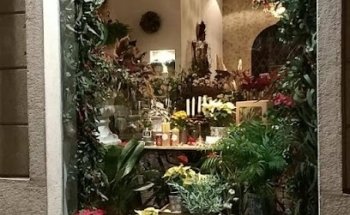 Floristería Bergamota, E.S.P.J.